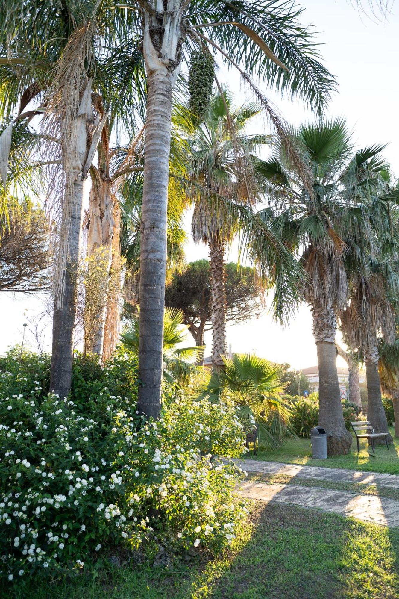 B&B La Melagrana Paestum Esterno foto